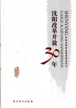 沈阳改革开放30年