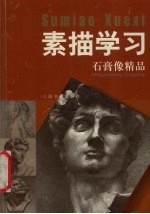 素描学习 石膏像精品