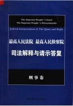 最高人民法院 最高人民检察院司法解释与请示答复 刑事卷 第2版