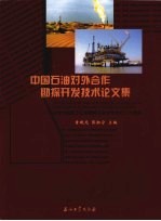 中国石油对外合作勘探开发技术论文集  纪念中国陆上石油勘探开发对外合作二十周年