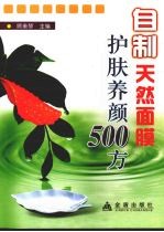 自制天然食物面膜护肤养颜500方