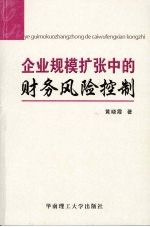 企业规模扩张中的财务风险控制