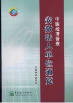 中国经济普查：安徽法人单位通览 下