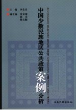 中国少数民族地区公共政策案例分析