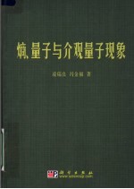 熵、量子与介观量子现象