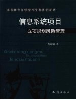 信息系统项目立项规划风险管理