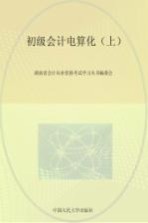 初级会计电算化 上