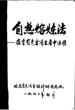 自热熔炼法：在重有色金属生产中运用