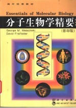 分子生物学精要  英文版