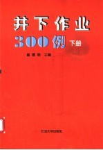 井下作业300例 下