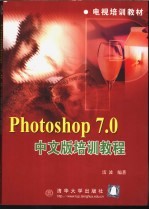 Photoshop 7中文版标准教程