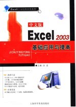 中文版Excel 2003基础应用与提高