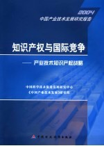 知识产权与国际竞争：产业技术知识产权战略 中国产业技术发展研究报告2004