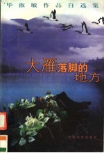 大雁落脚的地方  毕淑敏作品自选集