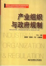 产业组织与政府规制 中国工促会 工业经济学会 2005年会论文集