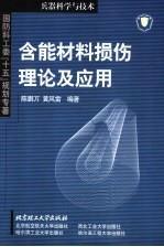 含能材料损伤理论及应用