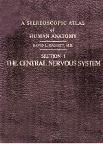 A Stereoscopic Atlas of Human Anatomy Section I The Central Nervous System Reels 19-28