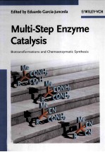 Multi-Step Enzyme Catalysis Biotransformations and Chemoenzymatic Synthesis