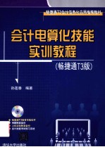 会计电算化技能实训教程 畅捷通T3版