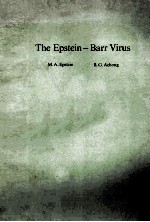 THE EPSTEIN-BARR VIRUS