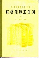 古生代珊瑚化石专著  床板珊瑚形珊瑚  2