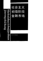 社会主义初级阶段金融市场