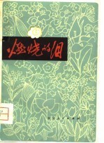 燃烧的泪 成都人民1976年悼念周总理街头诗词选