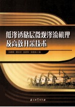 低渗透储层微观渗流机理及高效开采技术