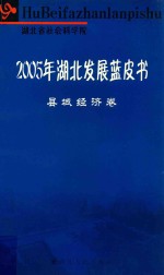 2005年湖北发展蓝皮书 县城经济卷