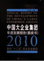 中国大企业集团年度发展报告（紫皮书） 2010