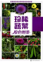 现代珍稀植物及食用菌图鉴系列  珍稀蔬菜原色图鉴