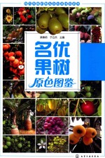 现代珍稀植物及食用菌图鉴系列  名优果树原色图鉴