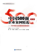 中国500强企业案例精选 第1辑