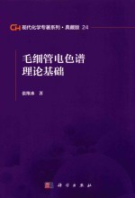 现代化学专著系列 典藏版 24 毛细管电色谱理论基础