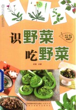 识野菜  吃野菜  汉竹