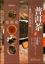 优雅醇和 普洱茶品鉴