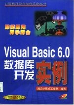 Visual Basic 6.0数据库开发实例