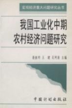 我国工业化中期农村经济问题研究