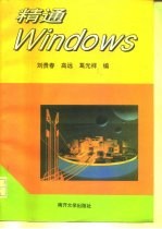 精通Windows