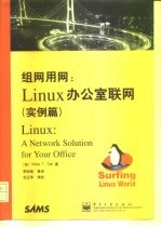 组网用网 Linux办公室联网 实例篇