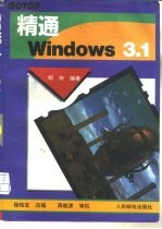 精通Windows 3.1