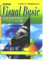 Visual Basic数据库程序设计 入门篇