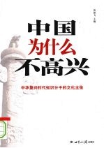 中国为什么不高兴 中华复兴时代知识分子的文化主张