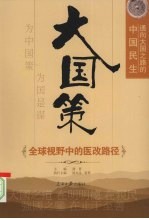 大国策 通向大国之路的中国民生 全球视野中的医改路径