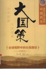 大国策 通向大国之路的中国民生 全球视野中的社保路径