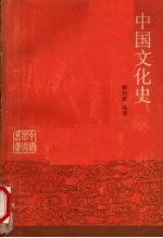 中国文化史 上