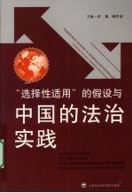 “选择性适用”的假设与中国的法治实践