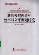 新的发展阶段中效率与公平问题研究