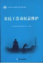 农民工劳动权益维护