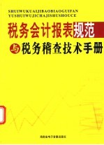 税务会计报表规范与税务稽查技术手册  2